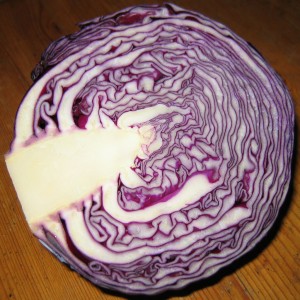Beautiful red cabbage chicken toys Chapter 5:  Chicken Toys&#8230;.What the What?!?! red cabbage 300x300