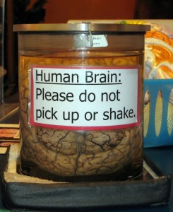 No worries….I won't be touching this anytime soon.    human brain please do not pick up or shake 245x300