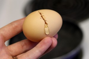 Cracked egg egg Chapter 8:  The Case of the Egg-Eating Chicken cracked egg 300x200